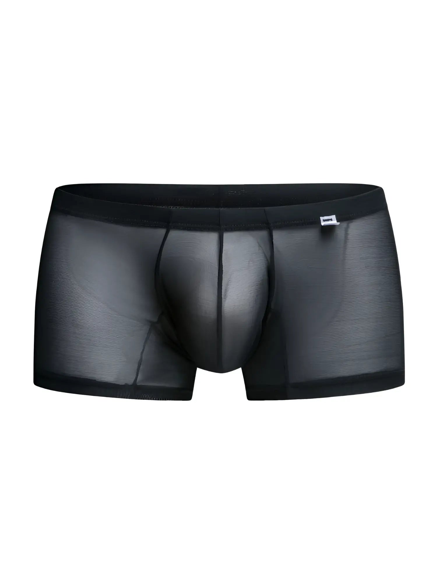 MaleBasics MBL78 lace trunks in black sheer mesh with solid waistband and reinforced seams front view