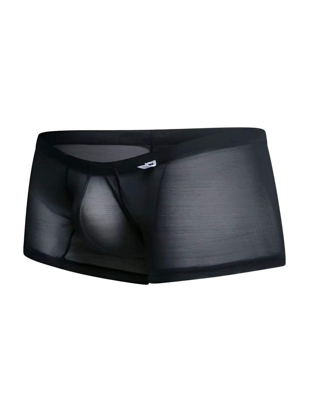 Malebasics mbl78 lace trunks black mesh sheer briefs with solid waistband and subtle side branding front view
