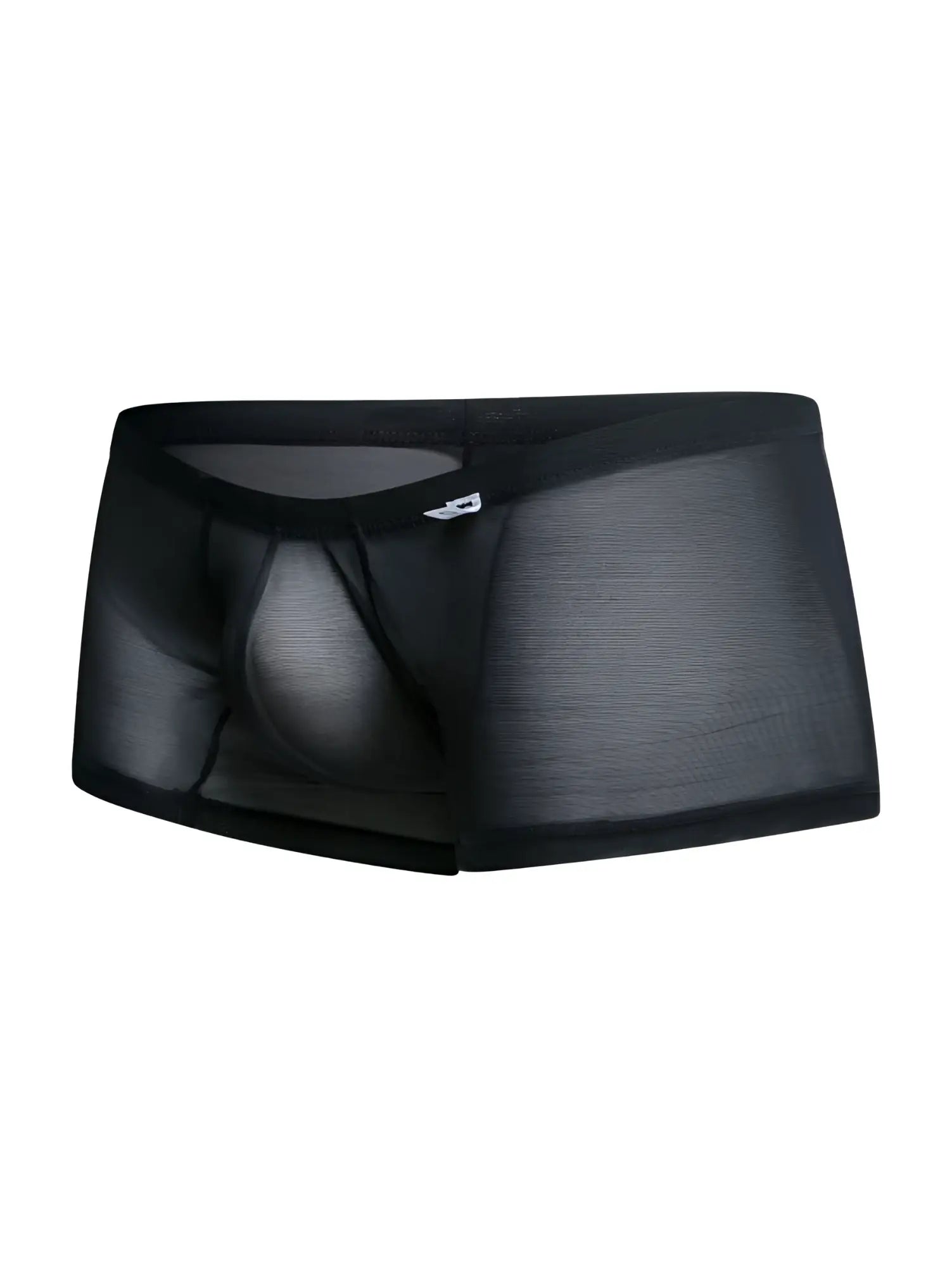 Malebasics mbl78 lace trunks black mesh sheer briefs with solid waistband and subtle side branding front view