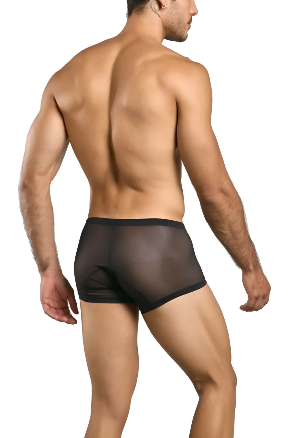 Malebasics mbl78 lace trunks black mesh sheer briefs with solid black waistband front view