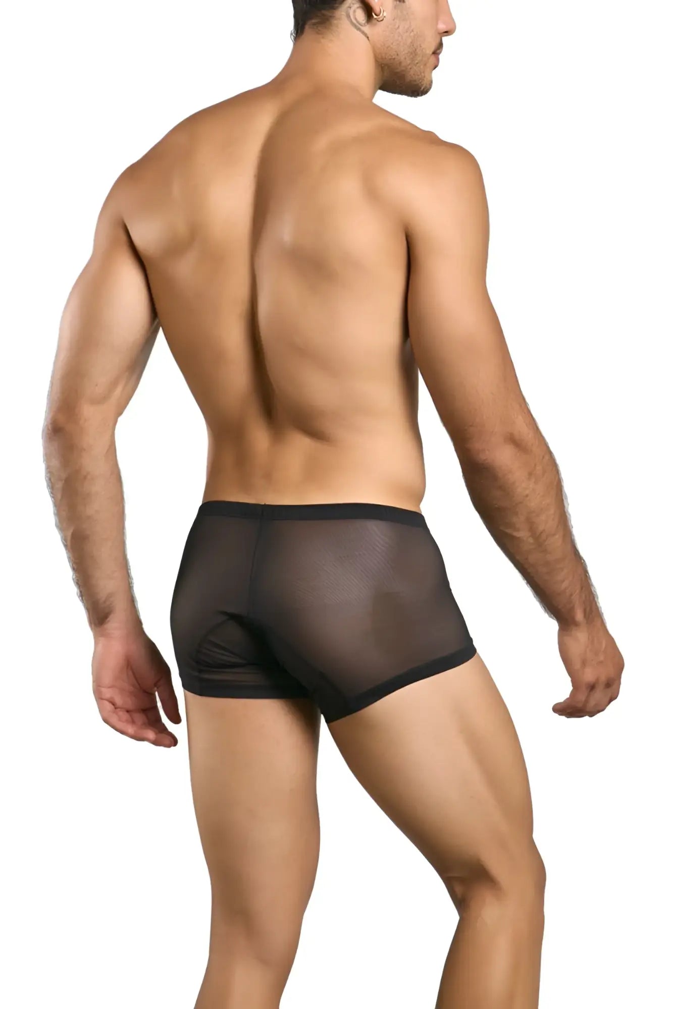 Malebasics mbl78 lace trunks black mesh sheer briefs with solid black waistband front view
