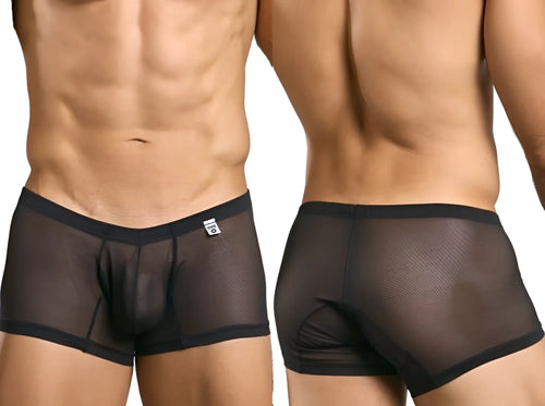 Malebasics mbl78 lace trunks black mesh briefs with sheer fabric and solid black waistband and trim