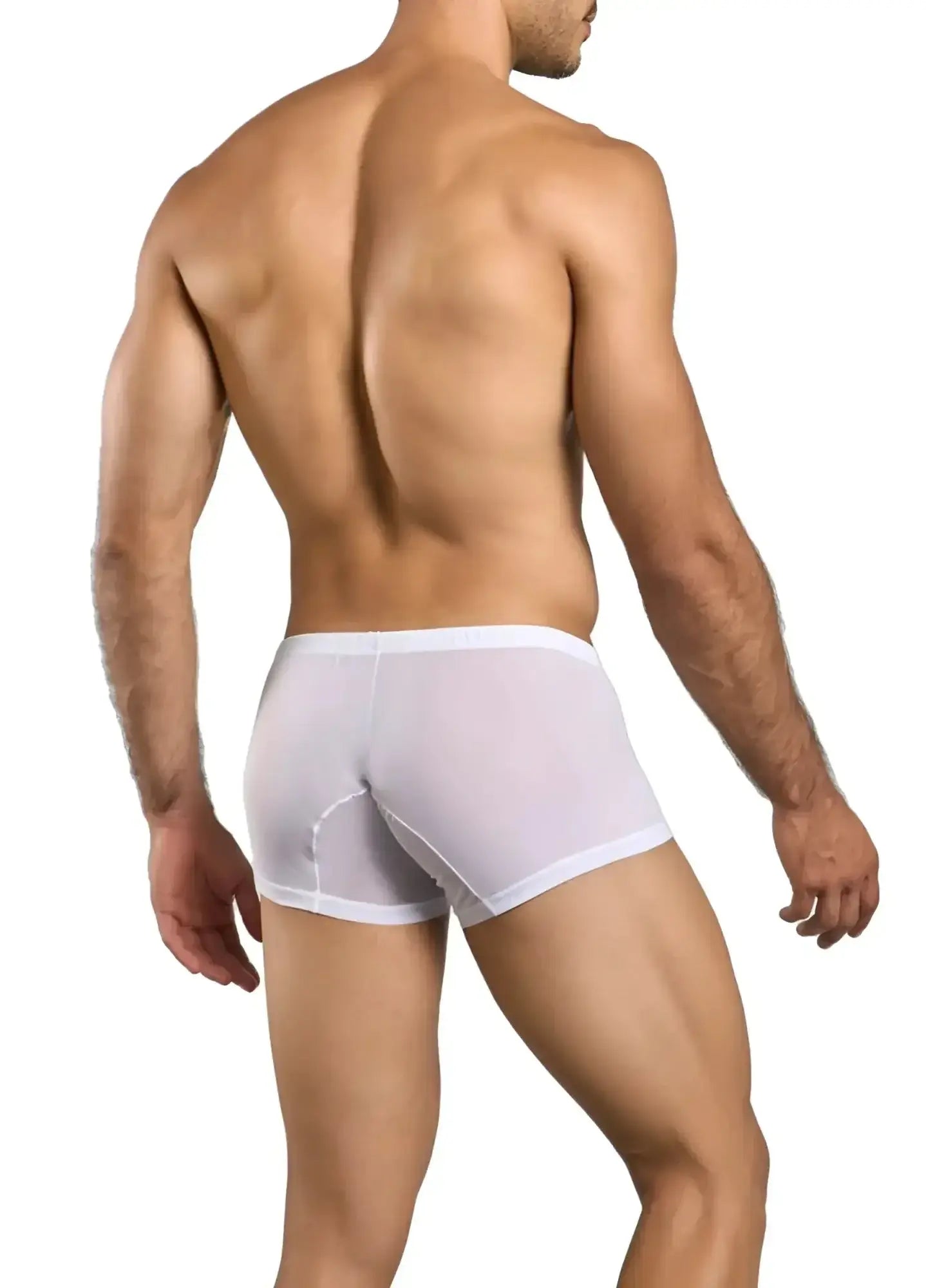 White sheer boxer briefs with a solid white waistband from malebasics mbl78 lace trunks color white mesh