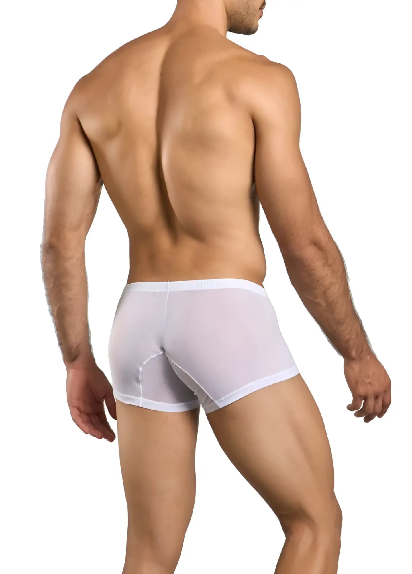 White sheer boxer briefs with a solid white waistband from malebasics mbl78 lace trunks color white mesh