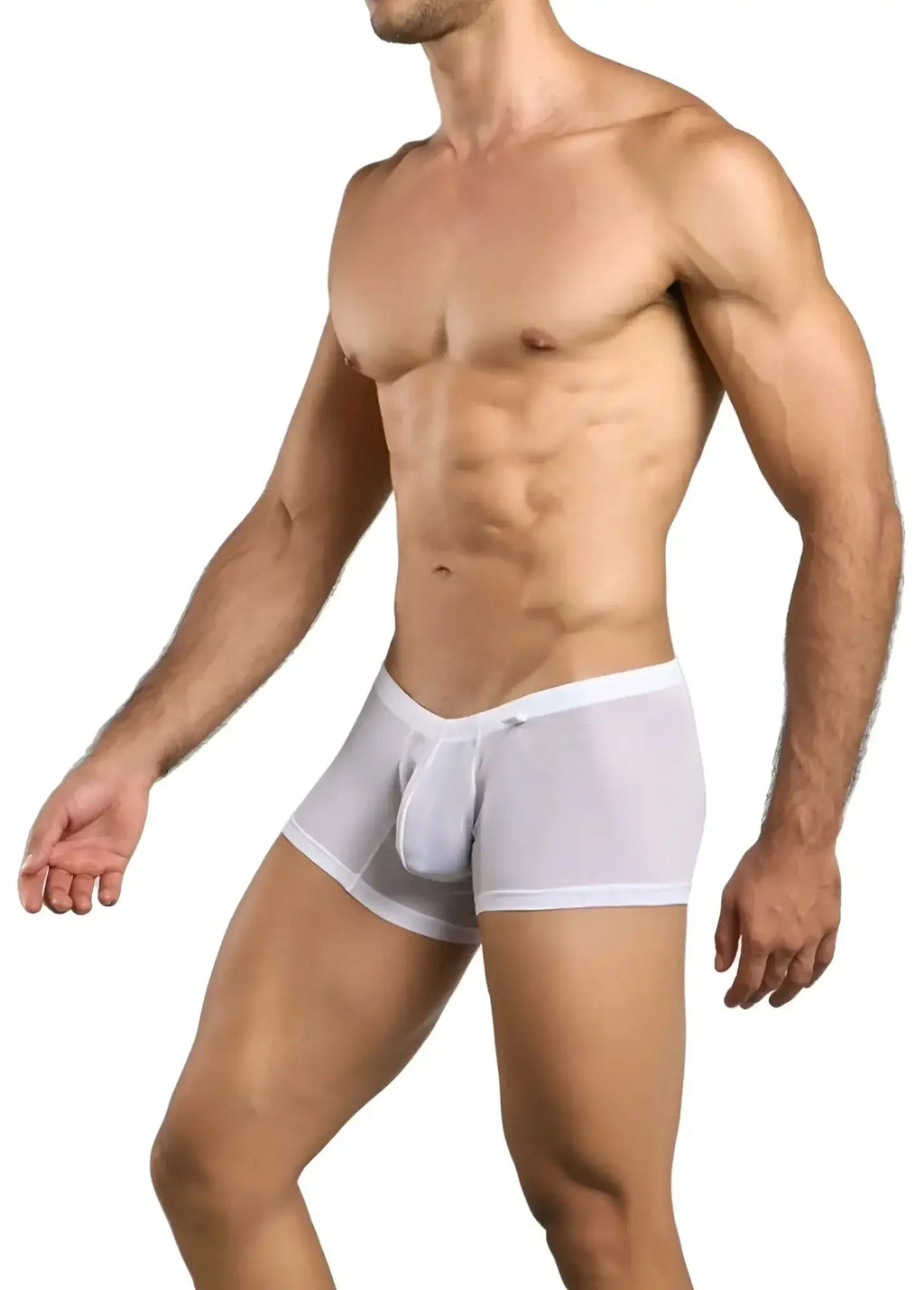 Malebasics mbl78 lace trunks in white mesh with a solid white waistband featuring sheer mesh briefs design