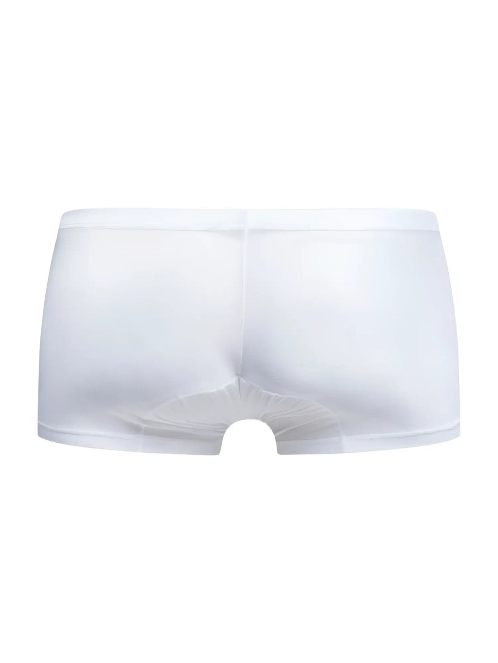 Malebasics mbl78 lace trunks in white sheer mesh with a smooth elastic waistband for comfortable everyday wear