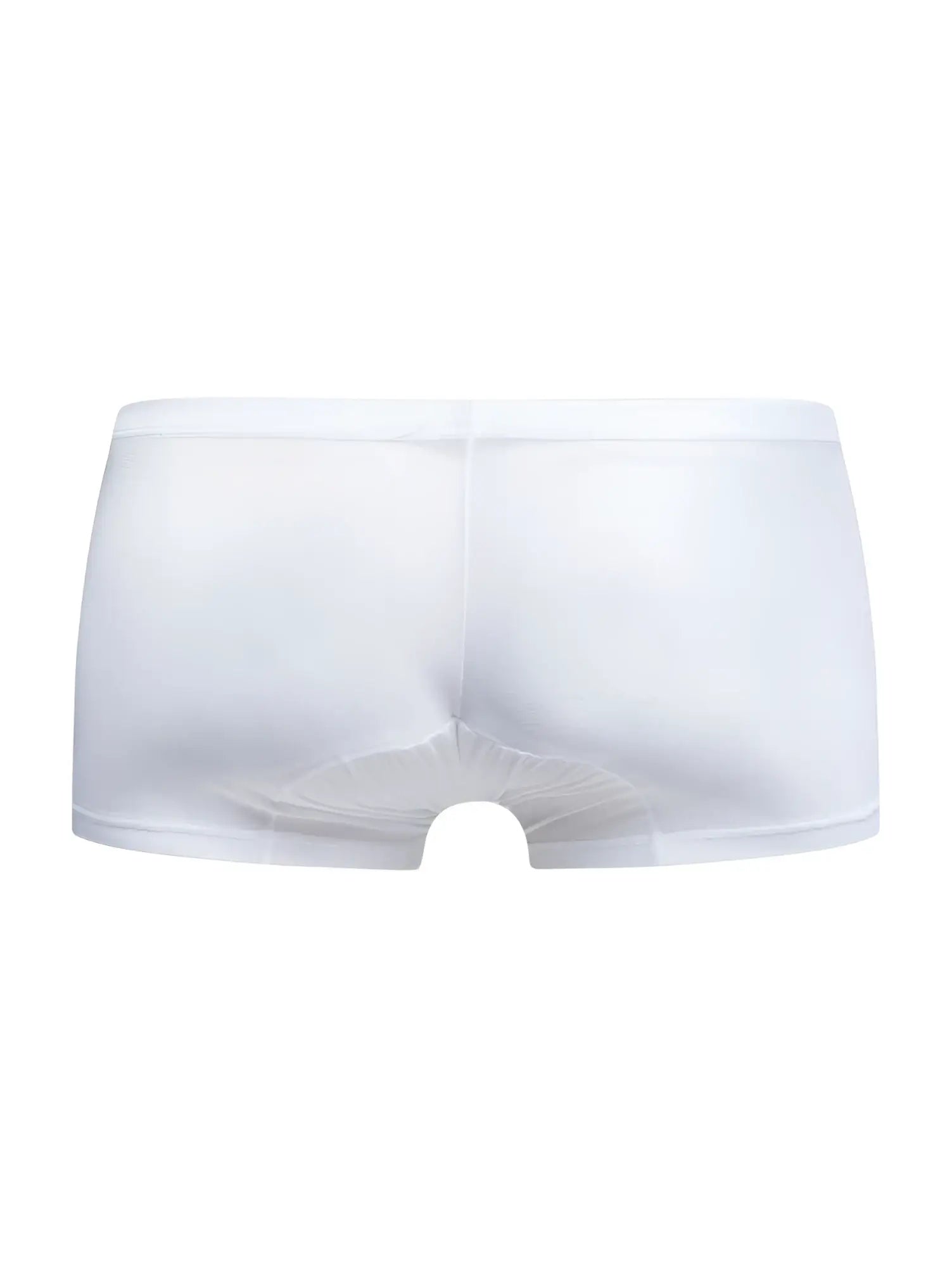 Malebasics mbl78 lace trunks in white sheer mesh with a smooth elastic waistband for comfortable everyday wear