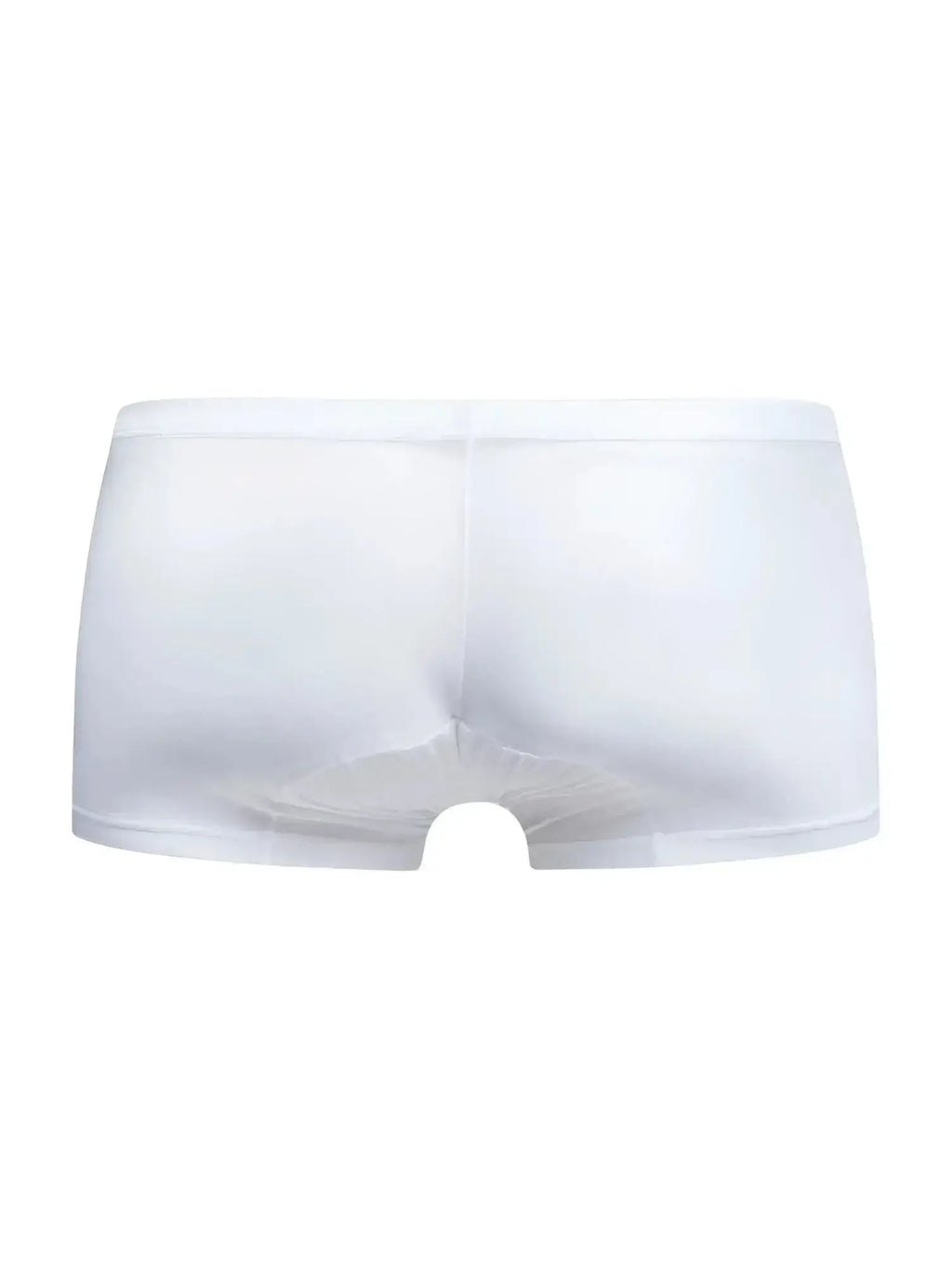 Malebasics mbl78 lace trunks in white sheer mesh with a smooth elastic waistband for comfortable everyday wear