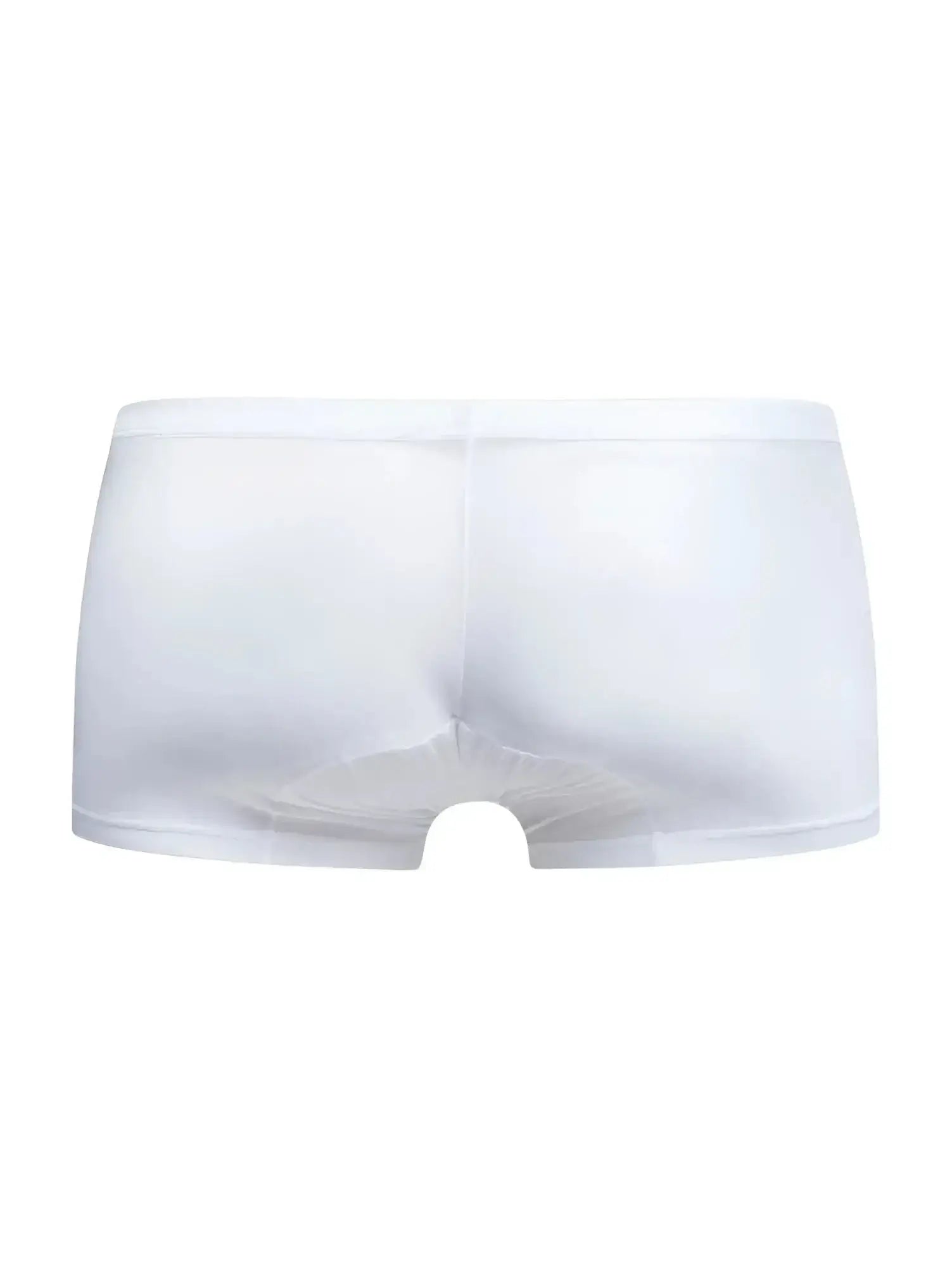 Malebasics mbl78 lace trunks in white sheer mesh with a smooth elastic waistband for comfortable everyday wear