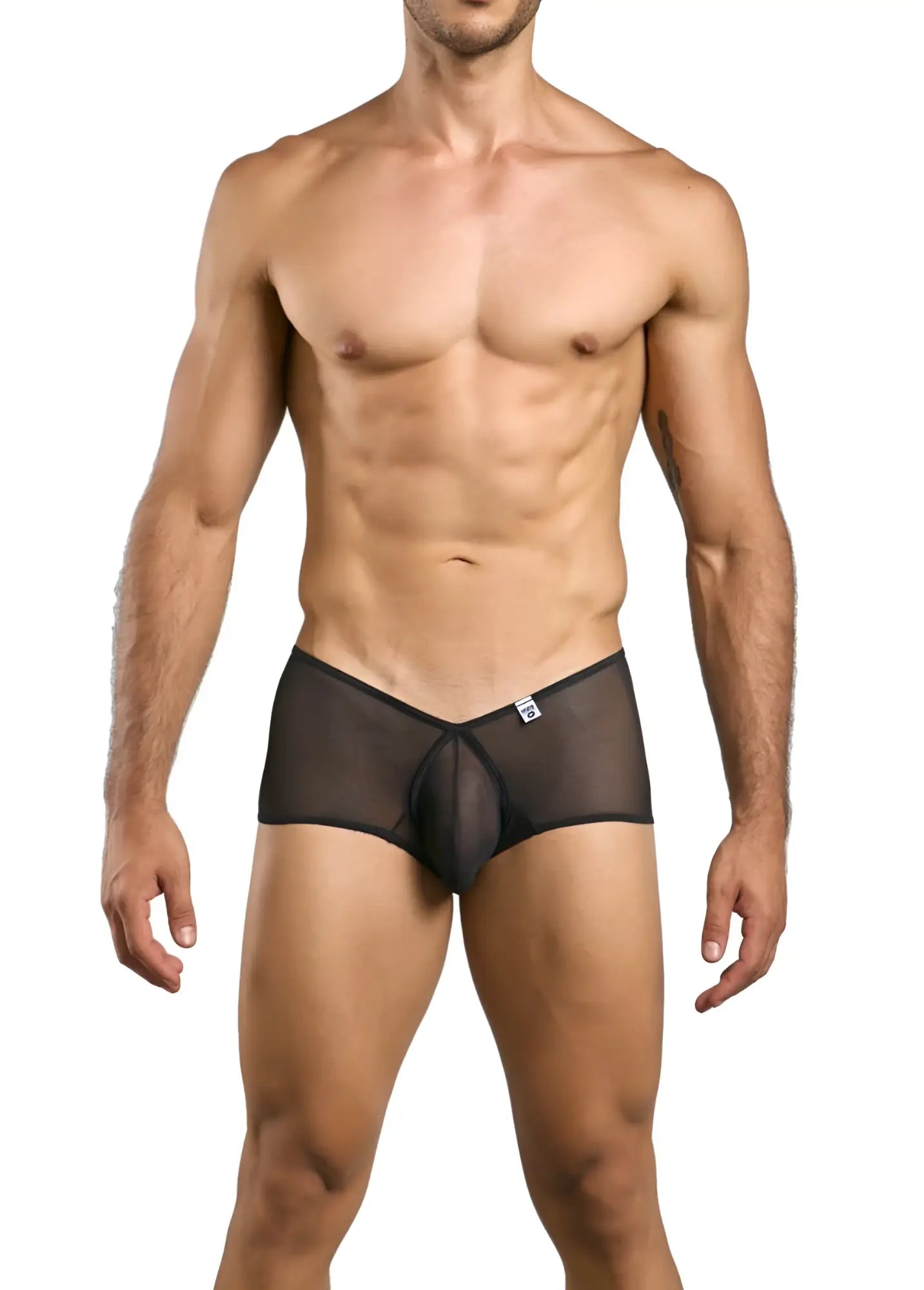 Malebasics mbl83 loop cheeky trunks black sheer mesh briefs with central front panel and white logo waistband