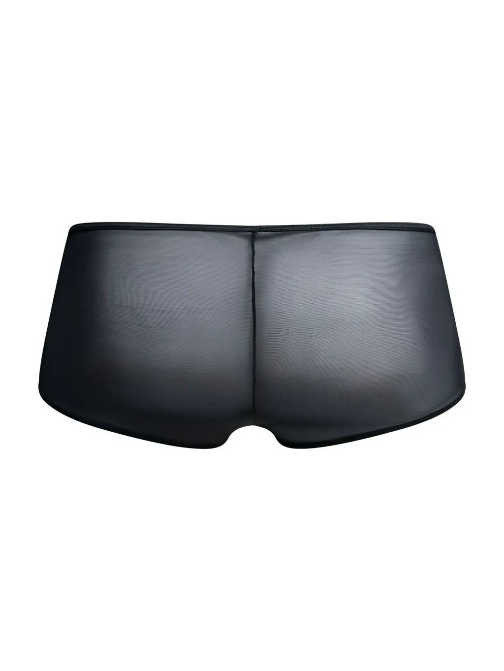 MaleBasics MBL83 Loop cheeky trunks black mesh briefs with sheer textured fabric and central front seam