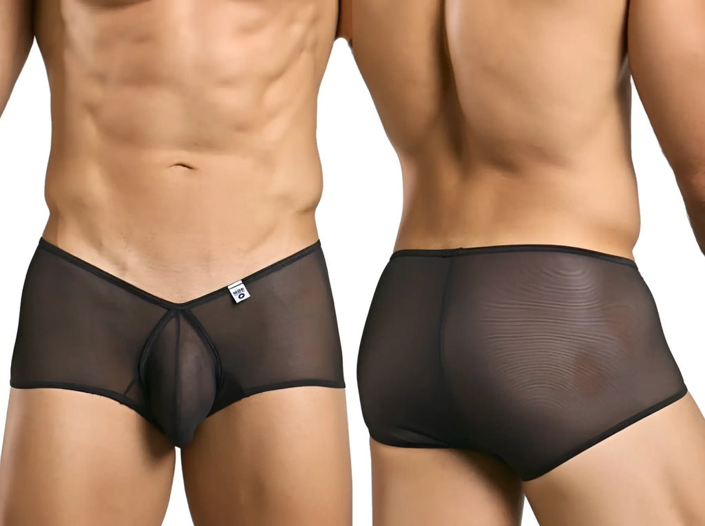 MaleBasics MBL83 Loop cheeky trunks in black sheer mesh with solid waistband and trim shown from the front