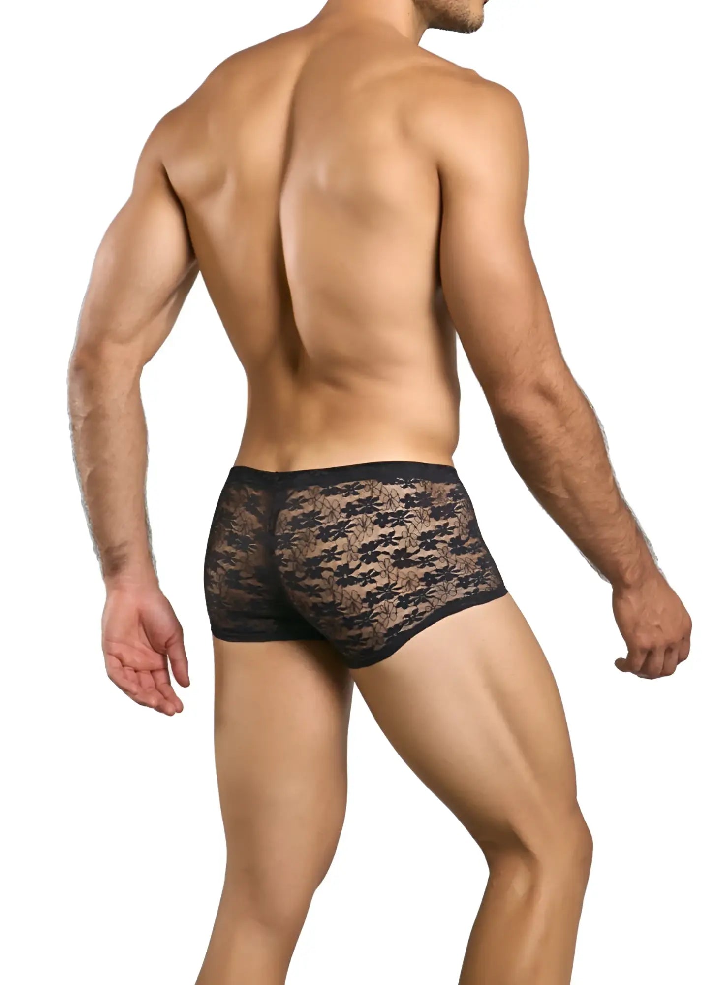 Malebasics mbl84 classic pouch trunks in black lace with subtle brown floral pattern boxer briefs