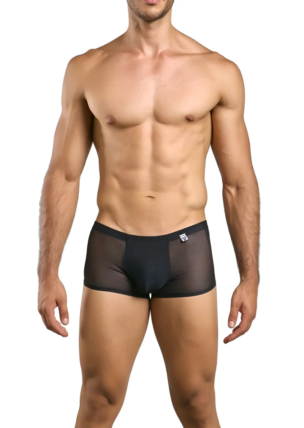MaleBasics MBL84 classic pouch trunks in black sheer mesh with solid waistband and white logo on front