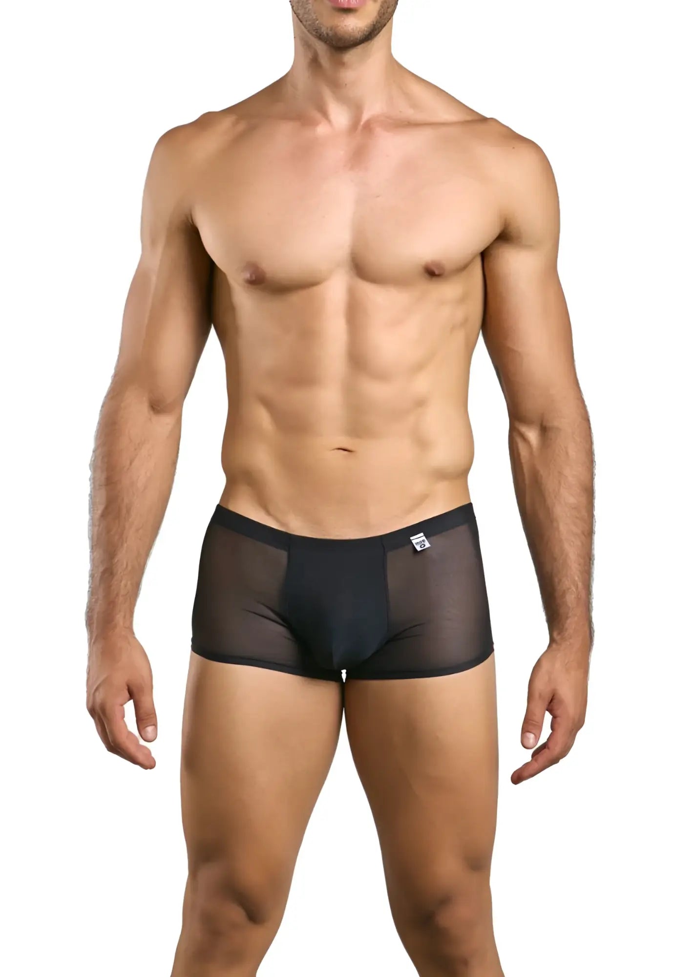 MaleBasics MBL84 classic pouch trunks in black sheer mesh with solid waistband and white logo on front