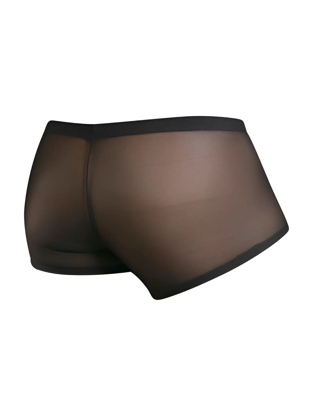 Malebasics mbl84 classic pouch trunks in black sheer mesh with solid black waistband showing front view