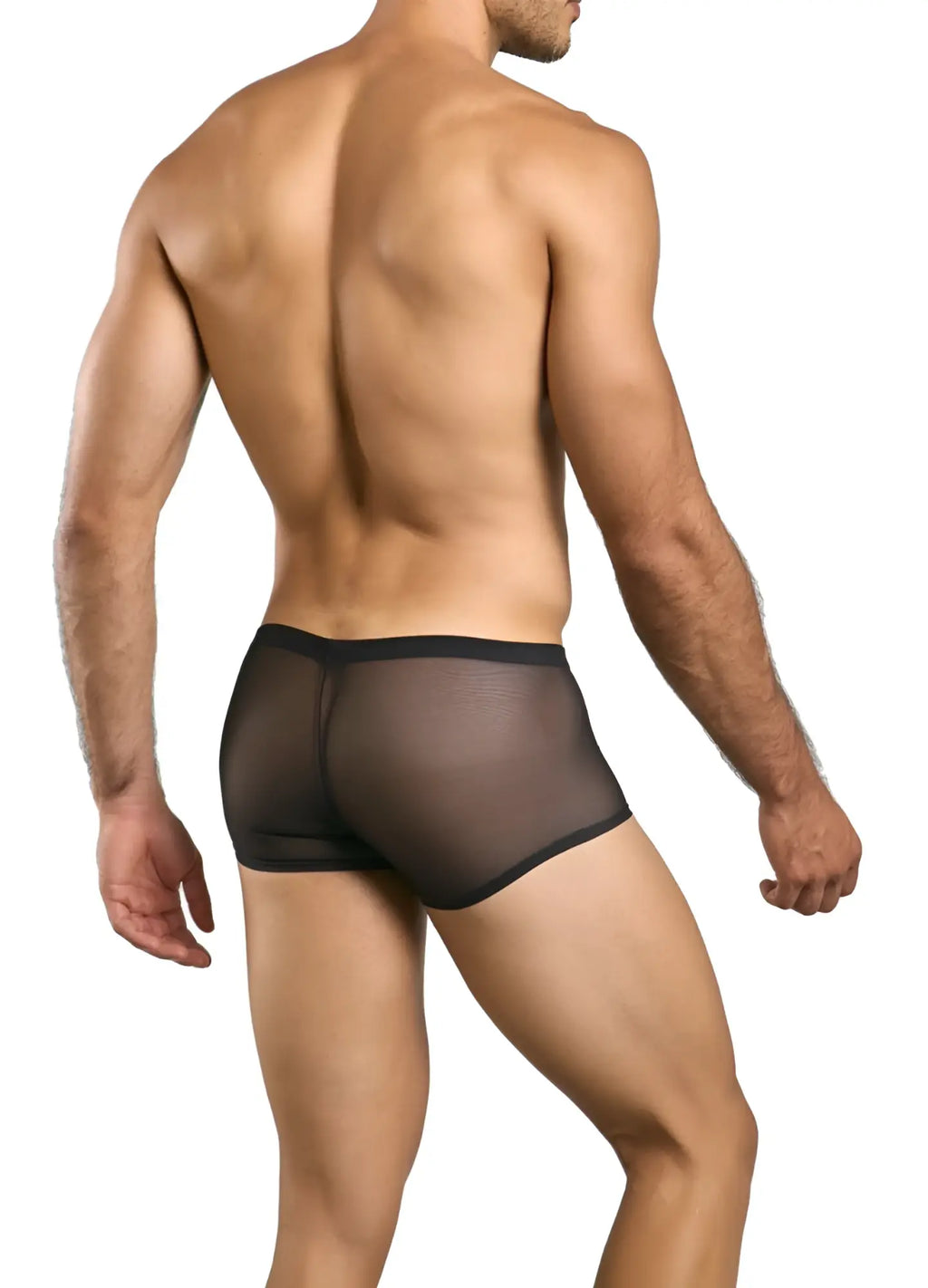 Black sheer mesh briefs with solid black waistband from malebasics mbl84 classic pouch trunks collection