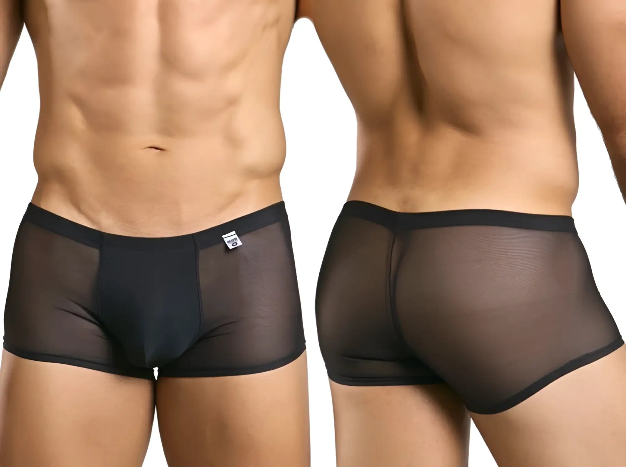 Black sheer mesh briefs with solid black waistband and trim from malebasics mbl84 classic pouch trunks collection
