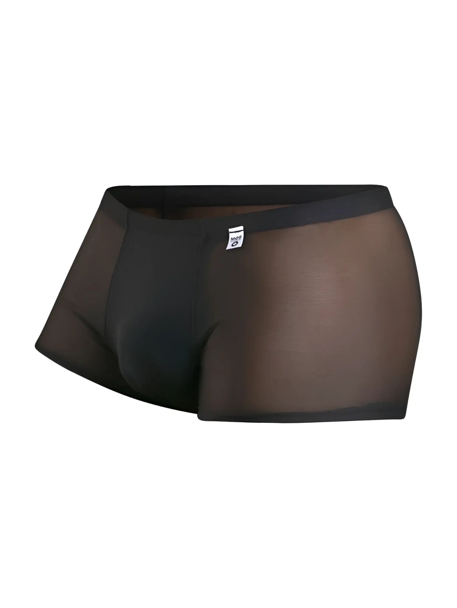 MaleBasics MBL84 classic pouch trunks in black sheer mesh with solid black waistband for men