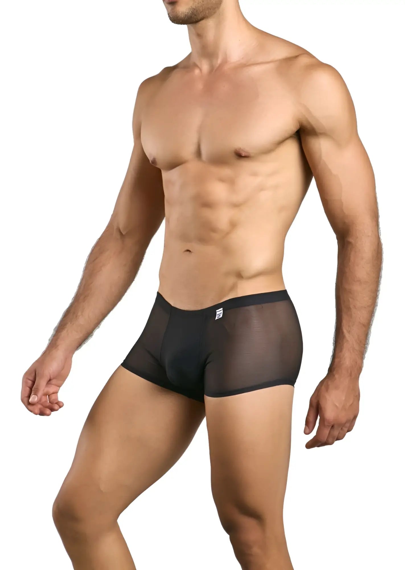 Malebasics mbl84 classic pouch trunks in black sheer mesh with a solid black waistband, front view
