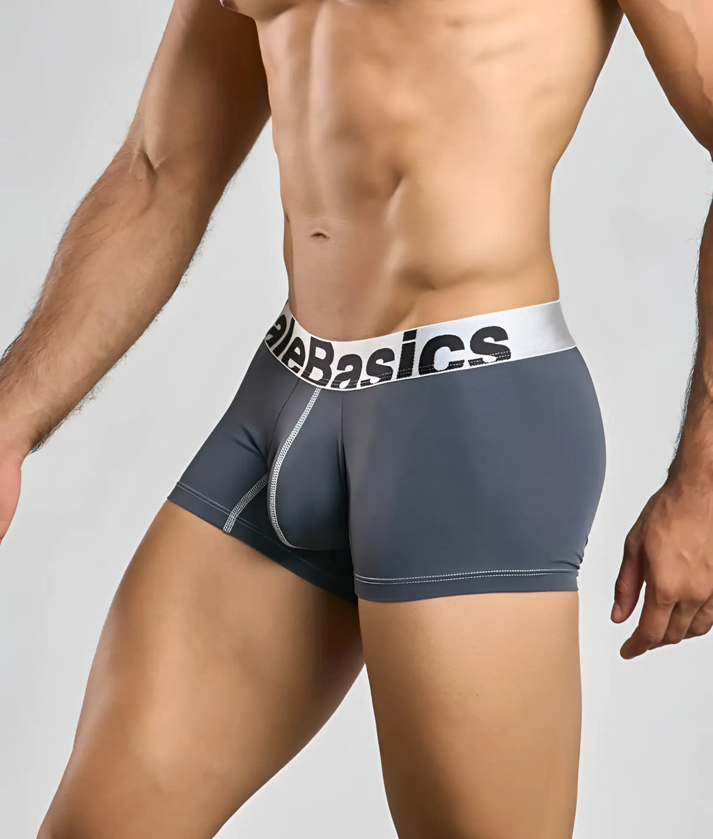 Gray microfiber menâ€™s boxer briefs with white elastic waistband and black alebasics branding from malebasics