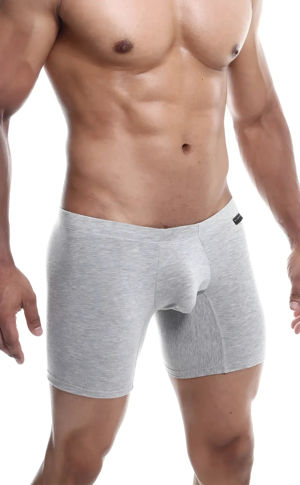 Gray heathered menâ€™s boxer briefs with contoured pouch and elastic waistband from malebasics silver plus 3 pack