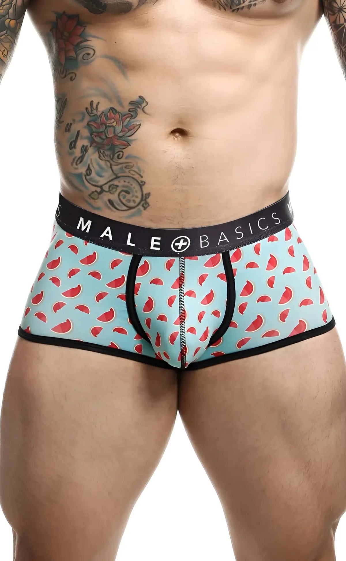 Malebasics trunk sexy pouch light blue watermelon slice patterned menâ€™s briefs with black trim and male basics waistband