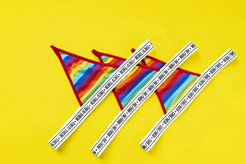 Mapale 123B rainbow thong with rainbow stripes red trim white waistband featuring repeating they thm text