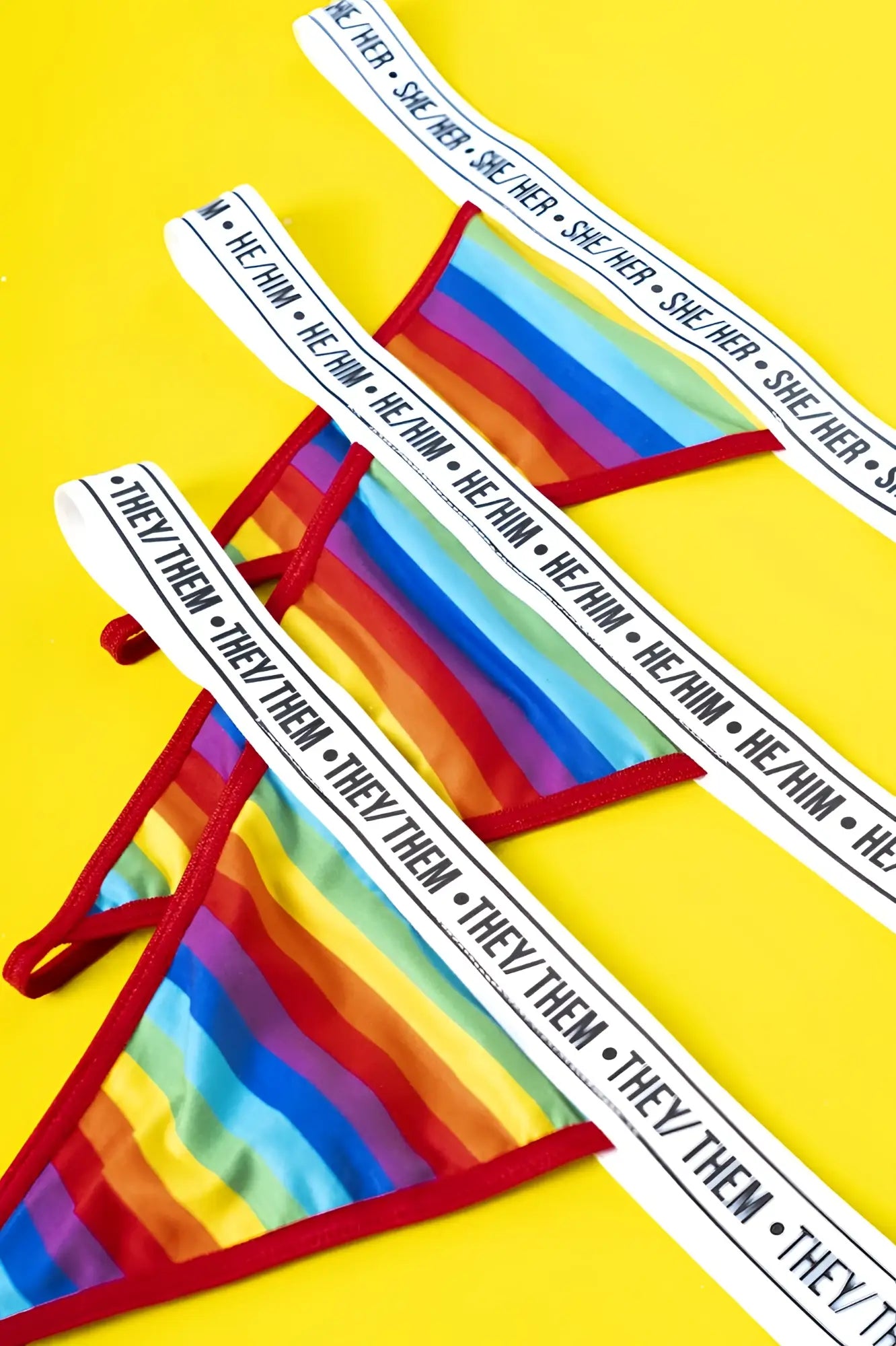 Mapale 123C rainbow thong with rainbow stripes red trim and white waistband printed with he him or she her