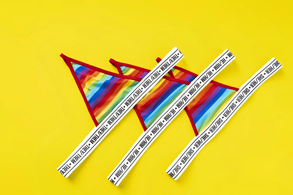 Mapale 123C rainbow thong with rainbow stripes red trim and white waistband featuring repeating they thm text