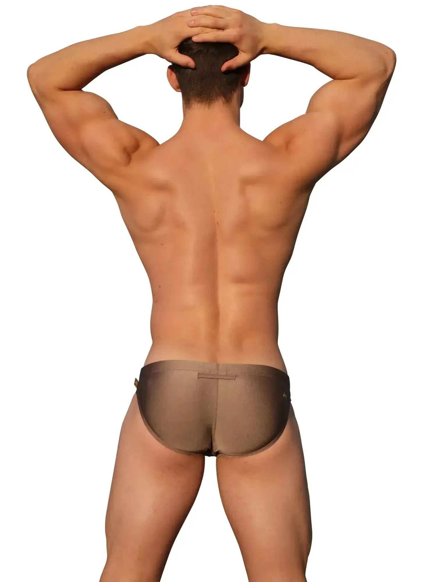 Back view of marcuse florets bikini swimwear sheer taupe mesh brief with subtle horizontal seam