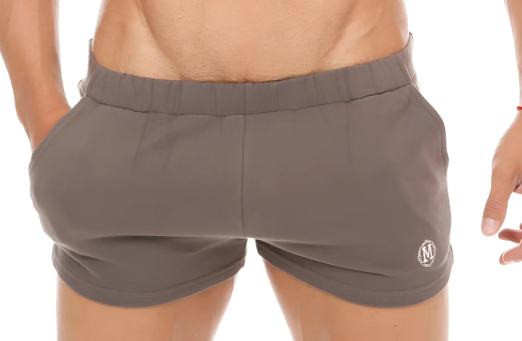 Marcuse physical shorts gray athletic shorts with elastic waistband and small embroidered logo on lower right leg