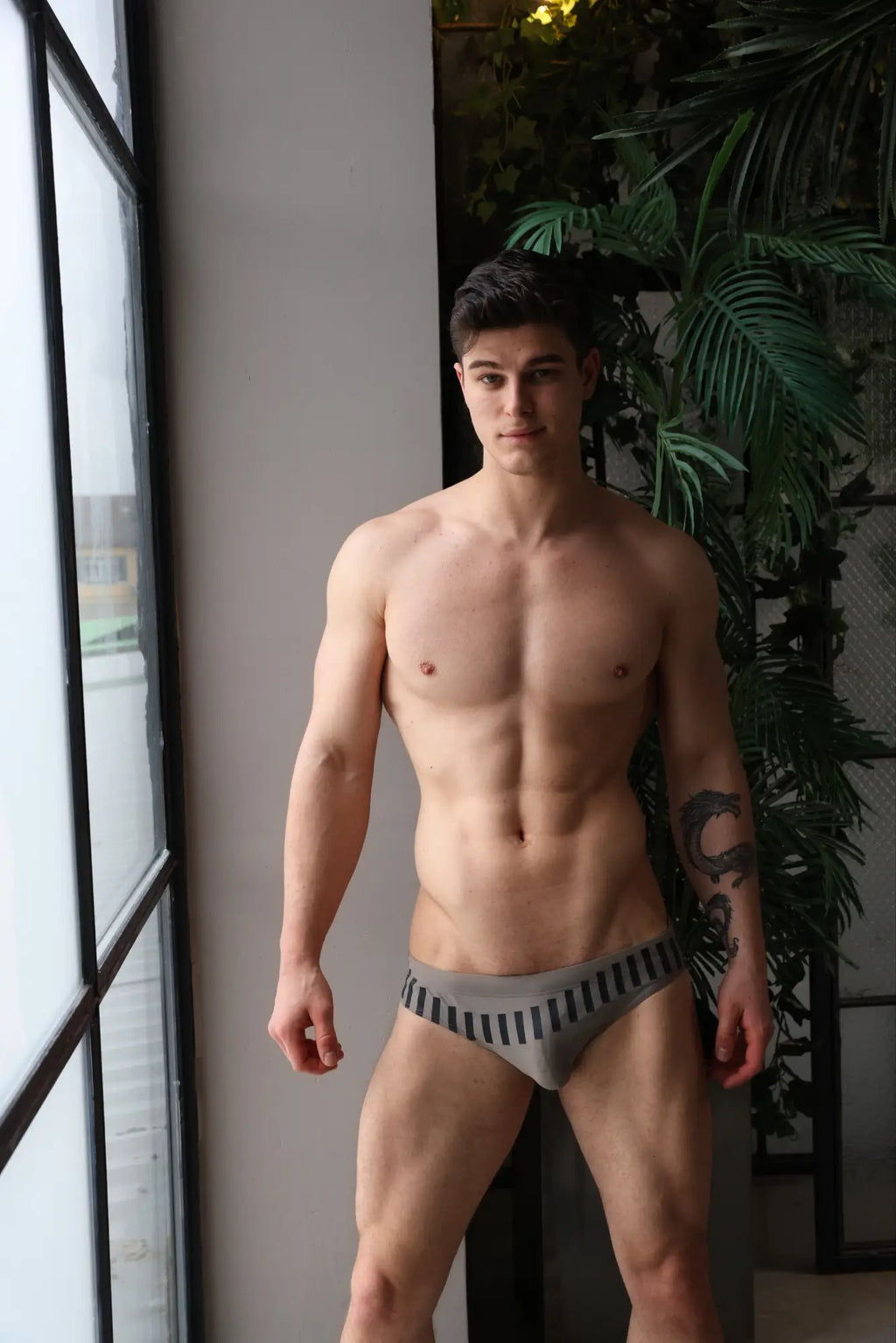 Marcuse Verve bikini swimwear gray briefs with black vertical stripes designed for stylish swimwear use
