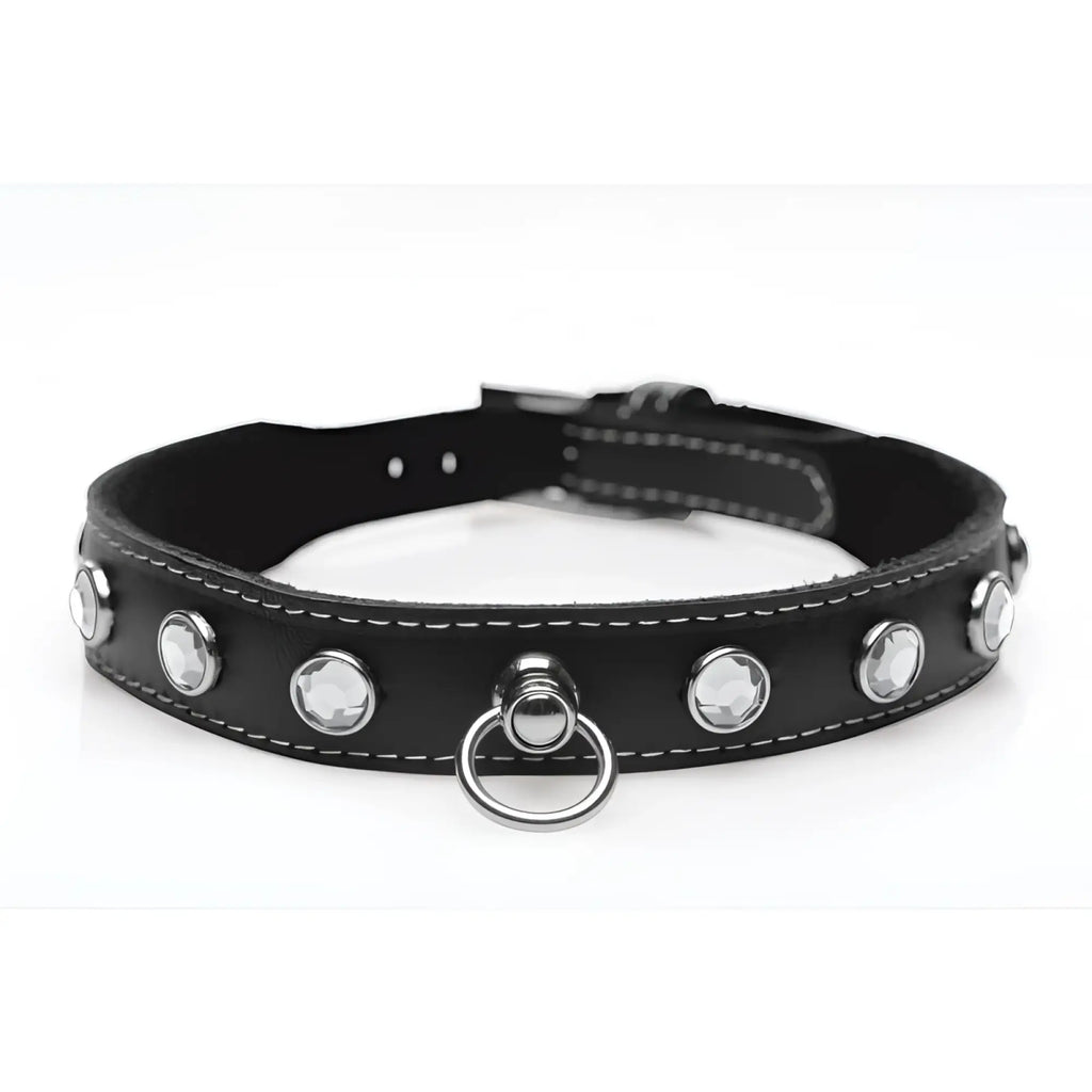 Black leather dog collar from master series bling vixen with clear rhinestones and silver metal ring