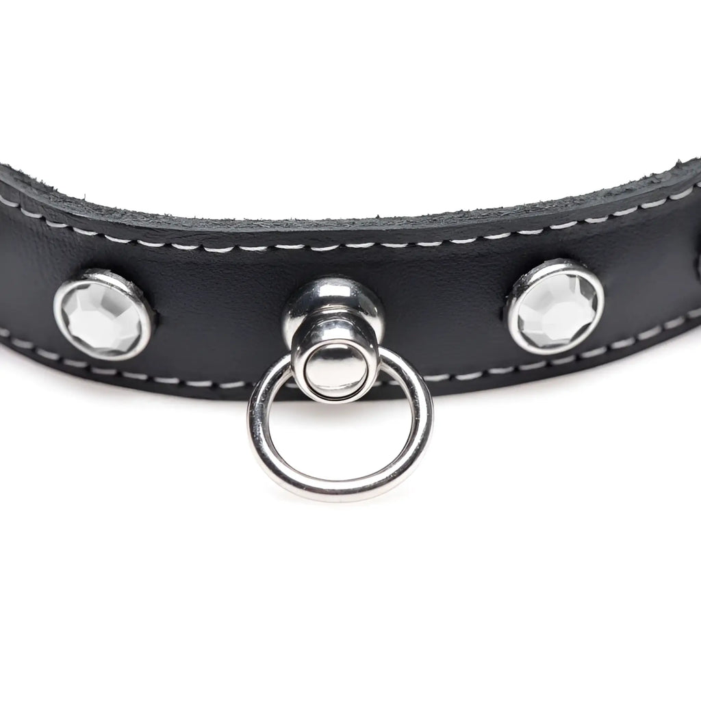 Black leather dog collar from master series bling vixen with silver studs central ring and clear rhinestones