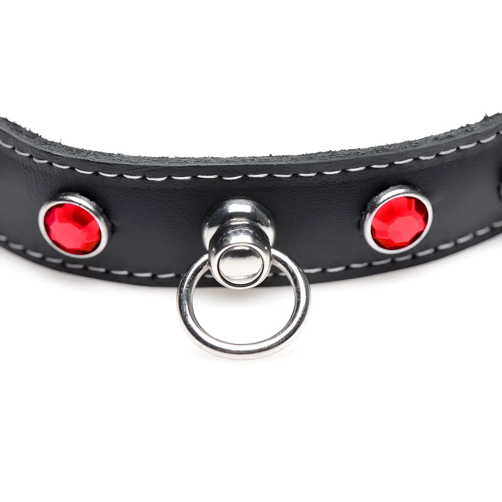 Black leather dog collar from master series bling vixen with red rhinestone accents and silver metal ring