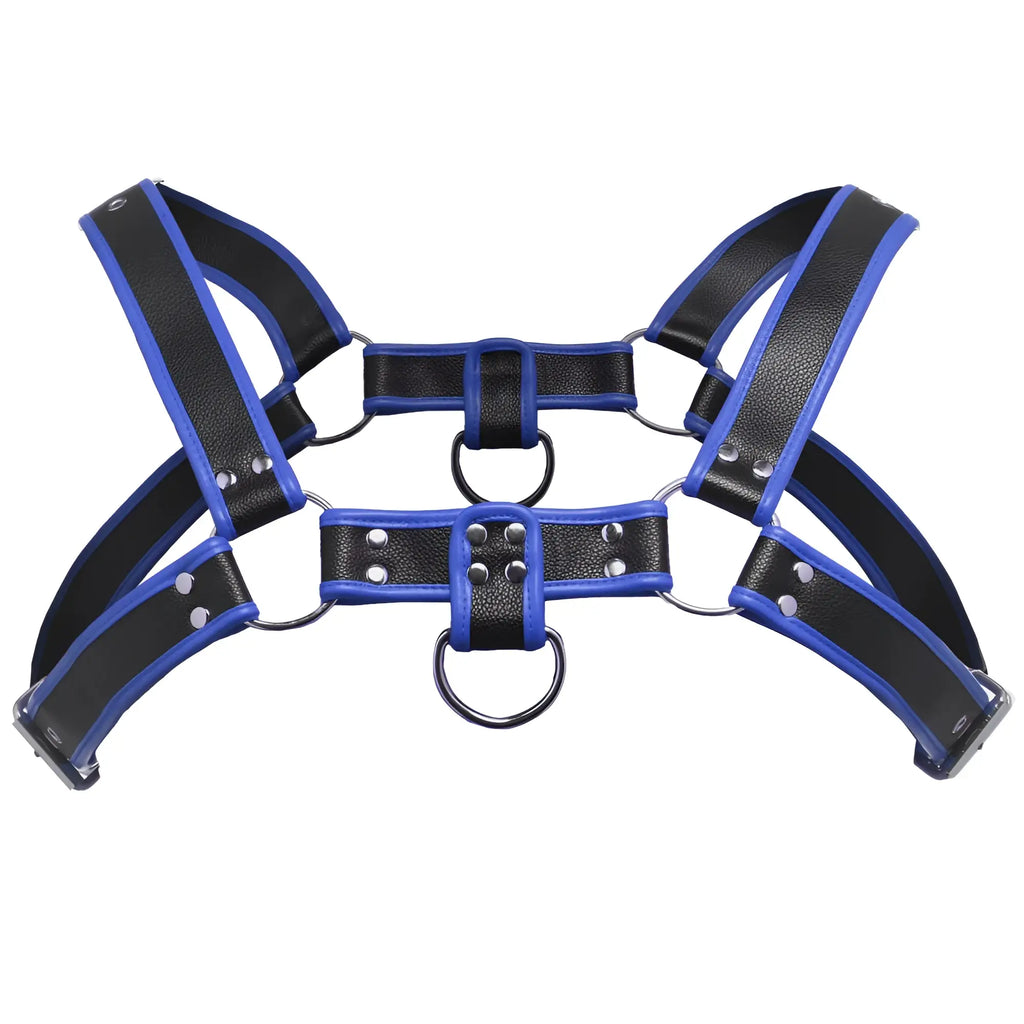 Black and blue leather master series bulldog harness with silver metal rings and studs in one size