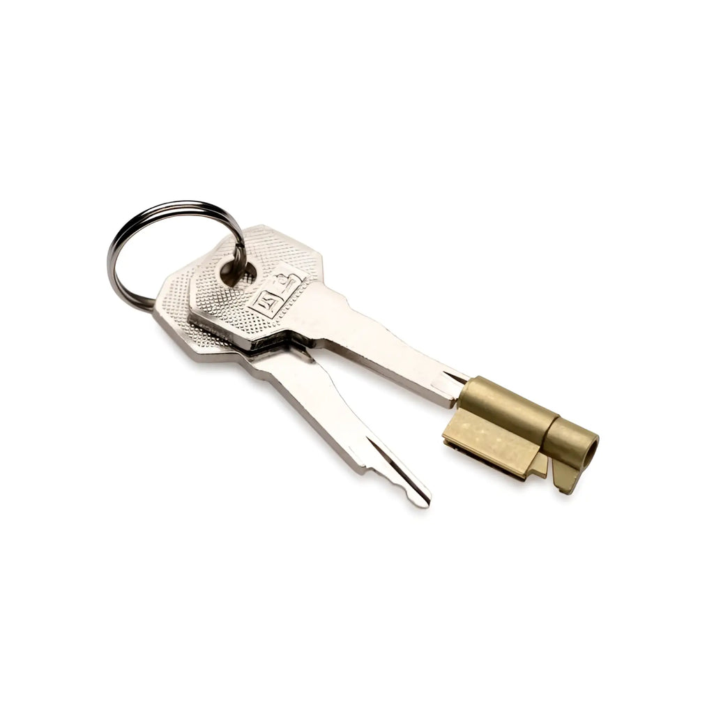 A pair of silver-toned metal keys with a keyring for the master series clear captor chastity cage small s