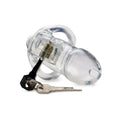 Master series clear captor chastity cage small s clear plastic with metallic lock and two keys beside it