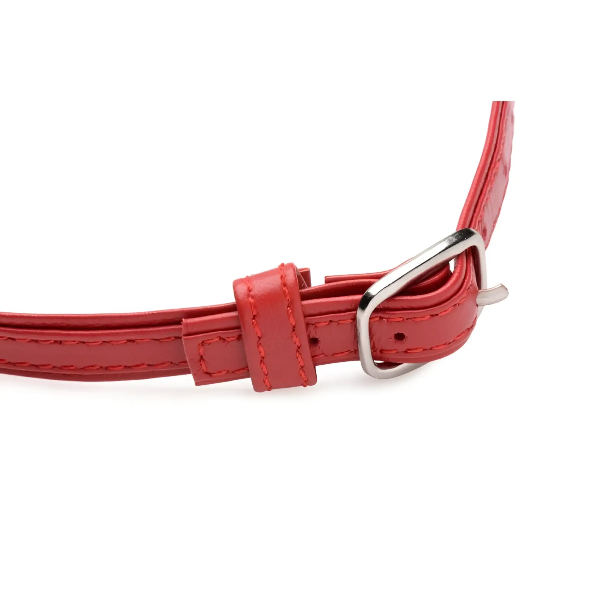 Red leather master series fiery pet leather choker with silver ring featuring silver-toned buckle and matching stitching