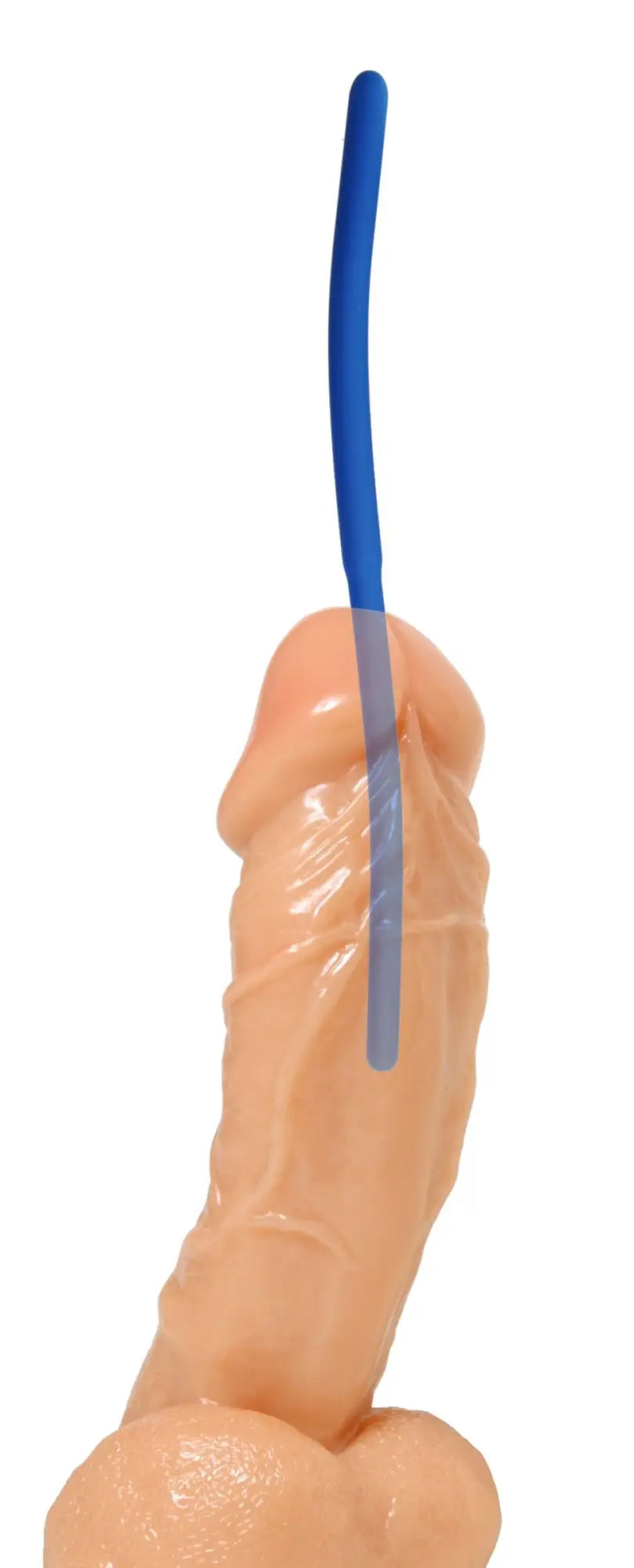 Blue silicone urethral catheter from master series invasion silicone urethral sound trainer set for safe training use