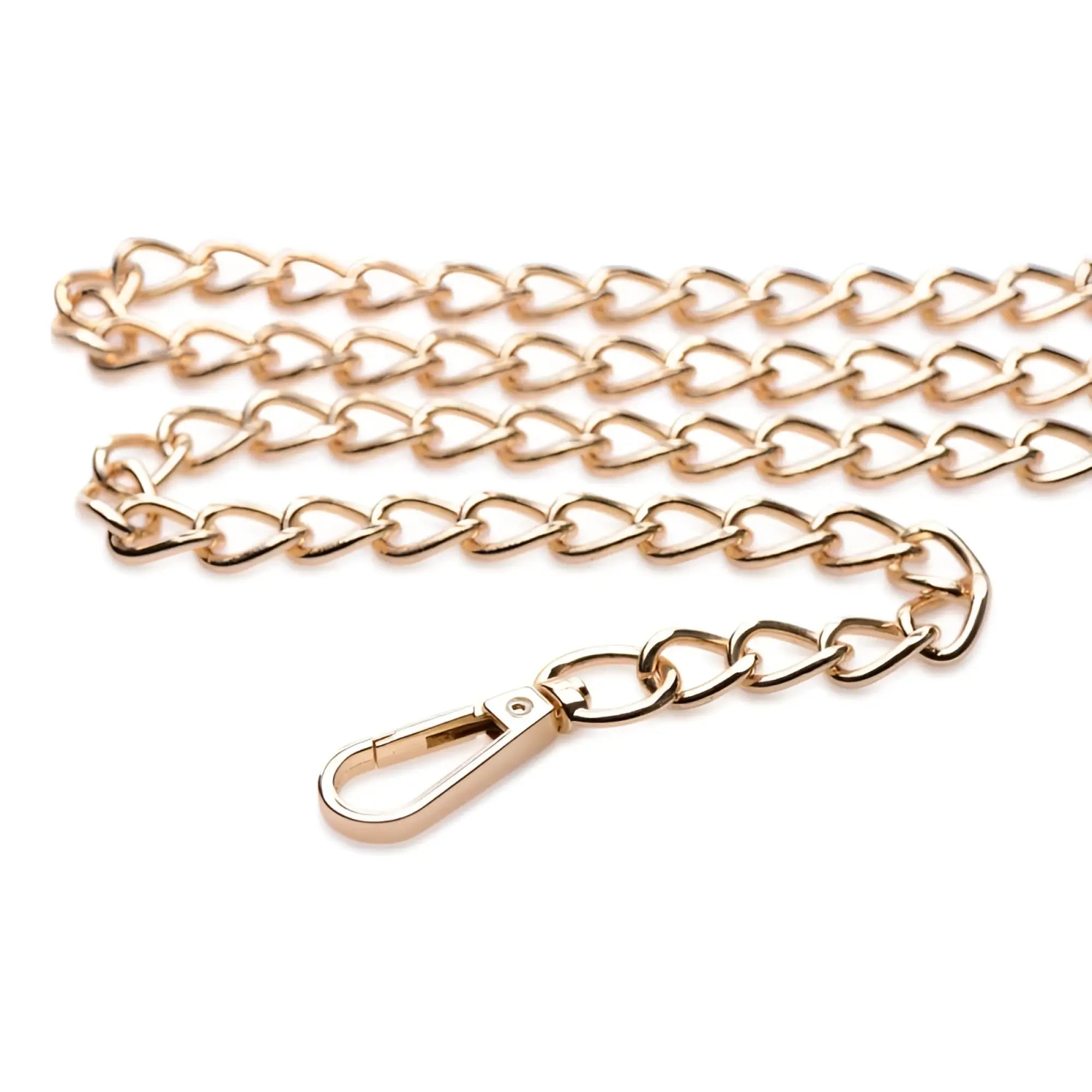 Gold-toned metal chain leash with matching lobster clasp from master series leashed lover black gold collection
