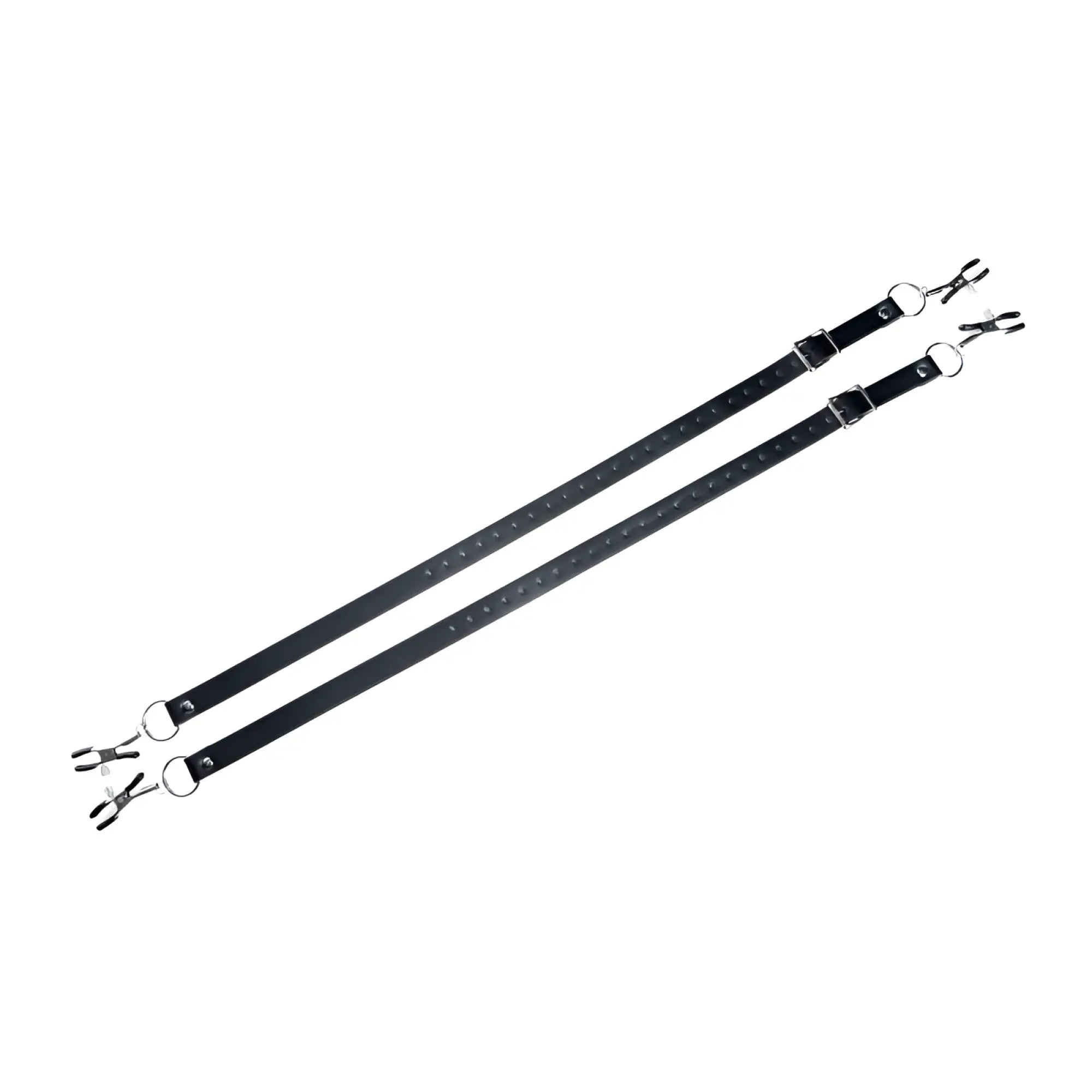 Black leather master series spread xl labia spreader straps with silver metal clasps and rings on each end