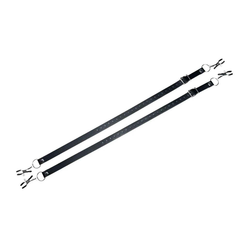 Black leather master series spread xl labia spreader straps with silver metal clasps and rings on each end