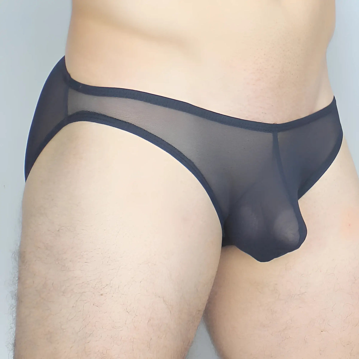 Black sheer mesh briefs mckillop gkus gravity bikini ultra mesh with reinforced waistband and central pouch design