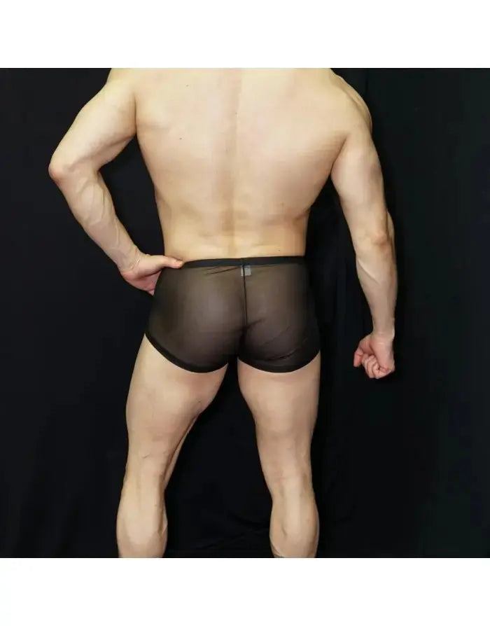 Men's black nylon stretch boxer underwear by Arroyman featuring a snug fit and sheer panels shown from the back.