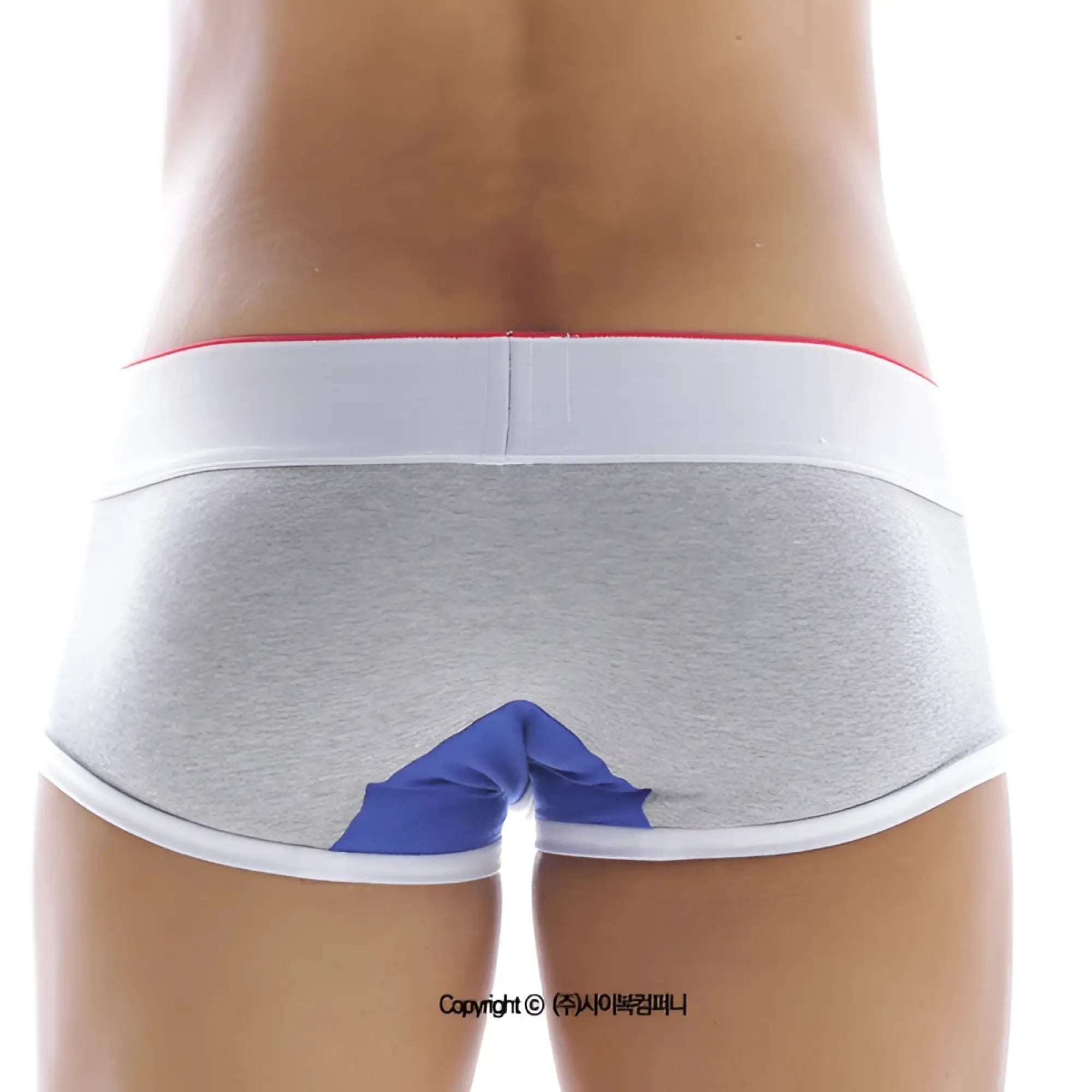 Back view of metromalewear 69ers boxer grey 7014-10 with gray heathered briefs white elastic waistband and blue triangle design