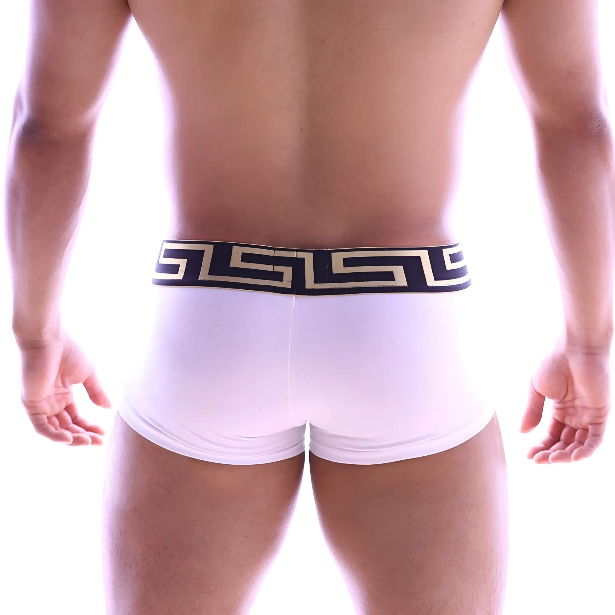 White briefs metroMaleWear asian short boxer 2026-00 with black and gold greek key patterned waistband