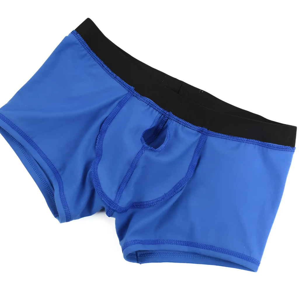 MetroMaleWear Avalon boxer brief royal blue with black waistband and central pouch opening for men