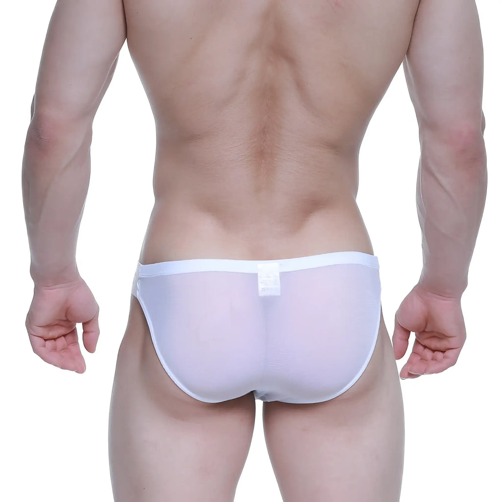 White sheer mesh briefs with a solid white waistband from MetroMaleWear Brief 2.0 Attraction 3603-71